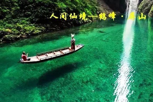 狗的记忆力有多少时间游戏画面