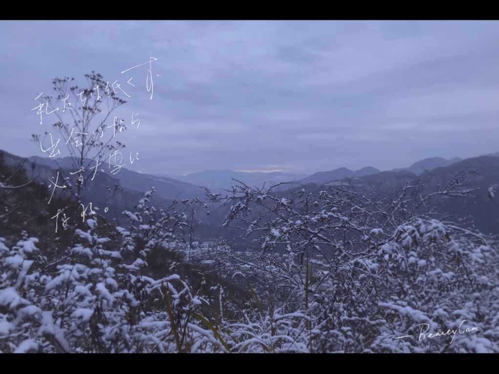 春节将至，“尔滨”农产品供应是否有保证？