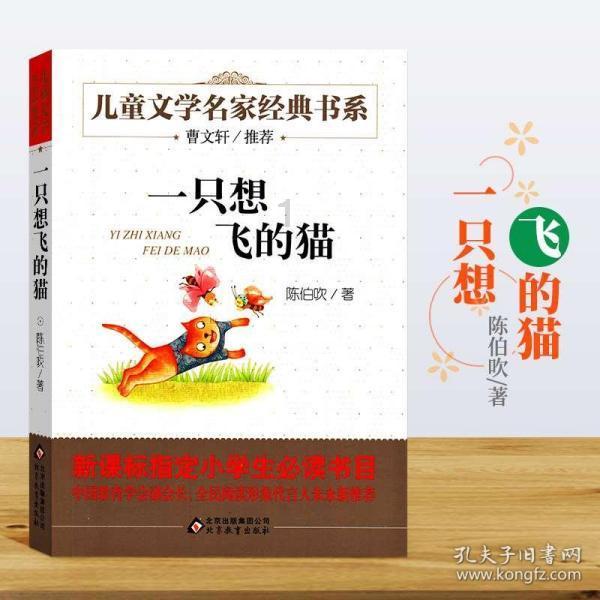 窗艾青解析游戏画面